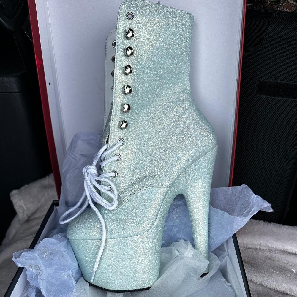 Pleaser size 6